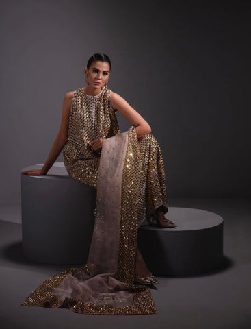 MUSE LUXE | SILVERY GREY EMBELLISHED SET