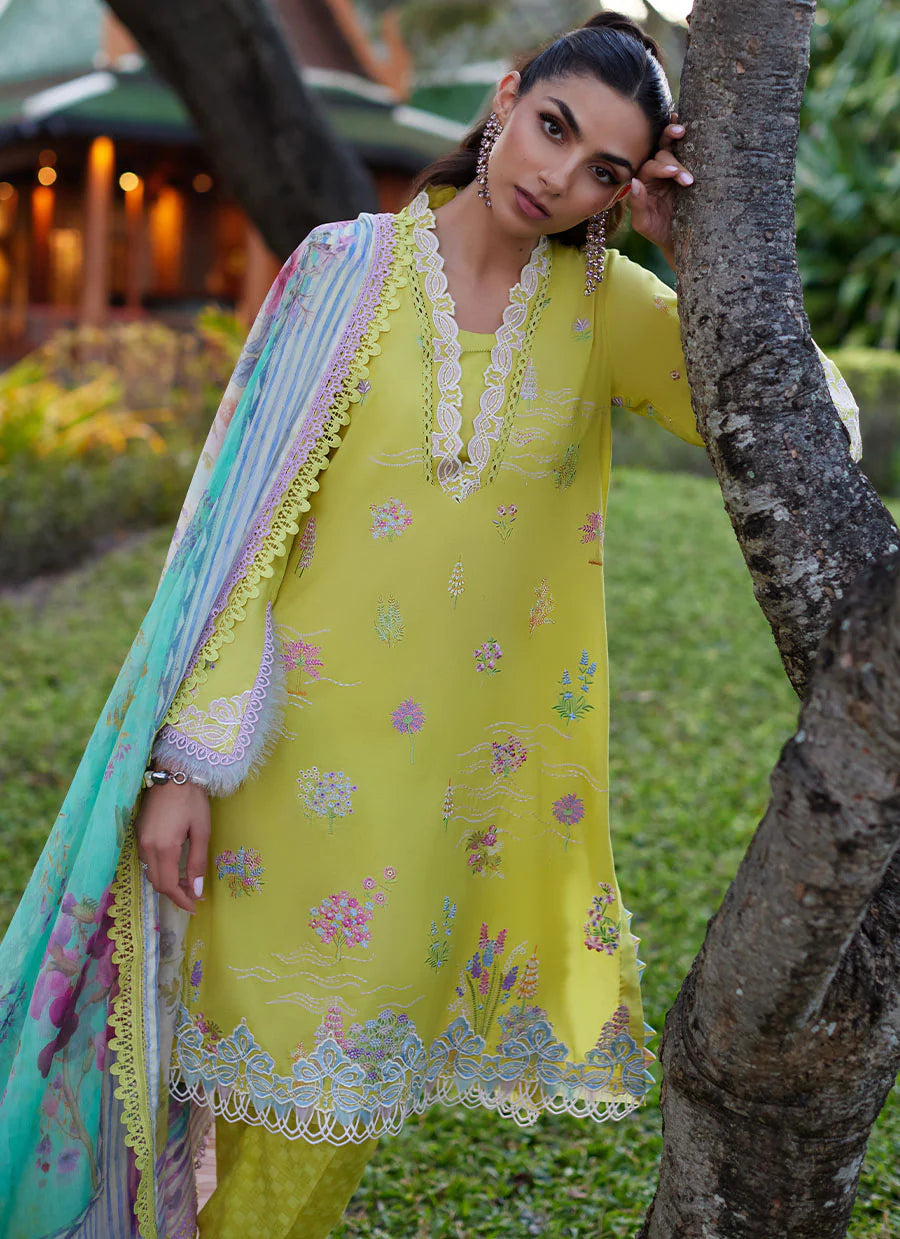 FARAH TALIB AZIZ - SUAY LAWN’24 | KELAYA KESI