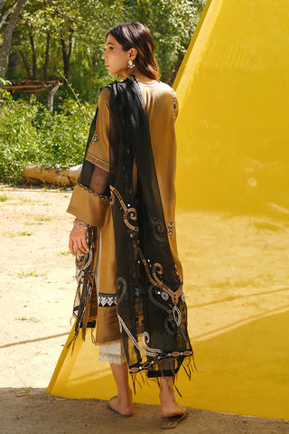 SUMAIRA KHANANI | MAIDA