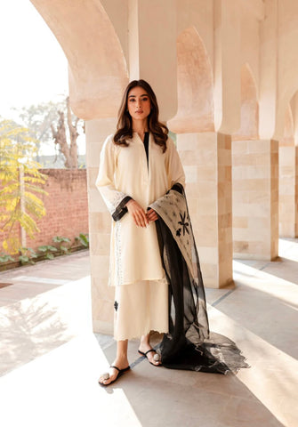 SOLIDS | INARA