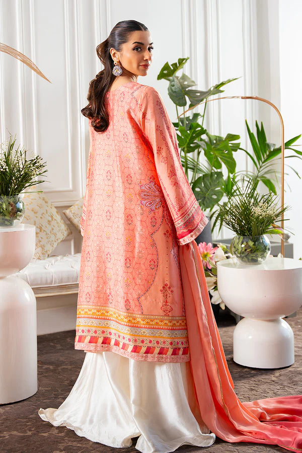 AMNA ARSHAD | SHENAYA