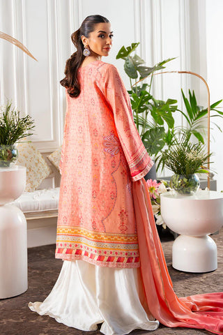 AMNA ARSHAD | SHENAYA