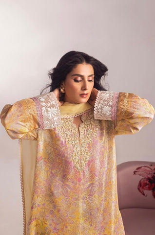 ANSAB JAHANGIR AYEZA LUXURY SILK’24 | AAHANA