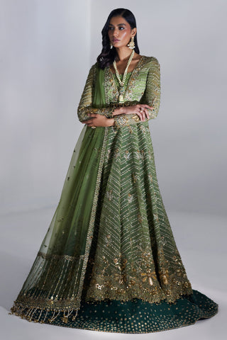 ELAN LUMIERE’24 | SCINTILLANT OLIVE (EP-20995)