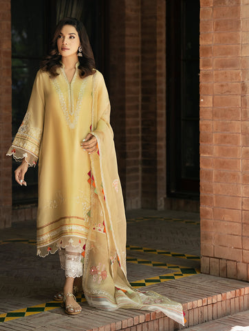 SHAZIA RAUF KHAN ‘JAAN E ADAA’ | NIYAH