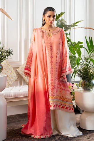 AMNA ARSHAD | SHENAYA