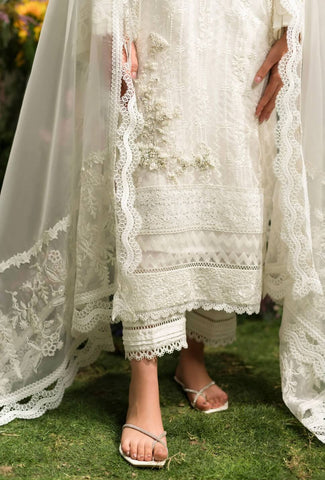 AMMARA KHAN LILY’24 | CLASSIC PEARL