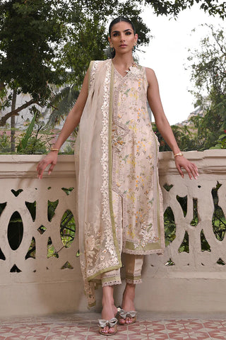 Nadia Farooqui | Willow Sage