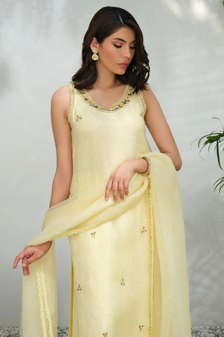 FARIDA HASAN SUMMER HIGH’24 | LEMON ROSE GLITTER WITH PANTS