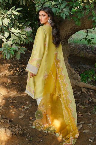 SUMAIRA KHANANI | HEER