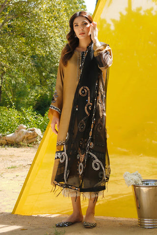 SUMAIRA KHANANI | MAIDA