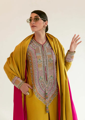 Hussain Rehar | Ster