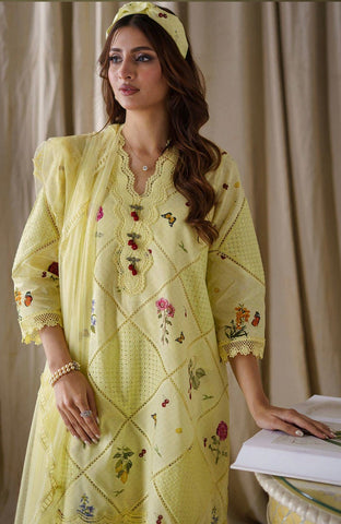 Farida Hasan | Lemon Cherry Shirt with Shalwar