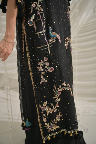 SANOBER SHAKEEL MEHR FORMALS’26 | AMEERA