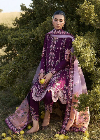 HUSSAIN REHAR PRET COLLECTION’26 | LYLA