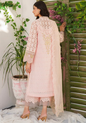 ZARQASH BELLE AME’24 | REINE