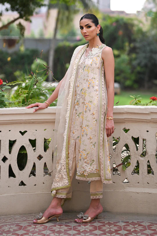 Nadia Farooqui | Willow Sage