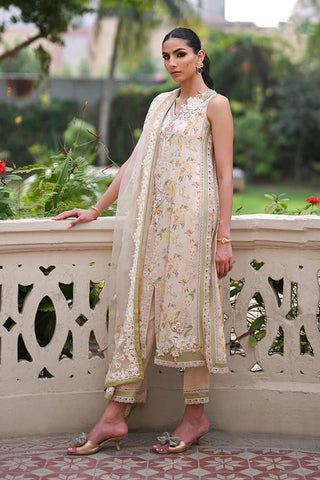 Nadia Farooqui | Willow Sage