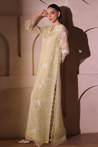 UZMA & AFSHEEN ‘CELEBRATION WEAR’26 | DAFFODILS