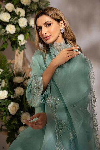 AMNA ARSHAD | ALYSA