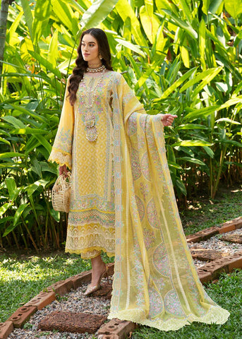 Kanwal Malik | Vaneesa