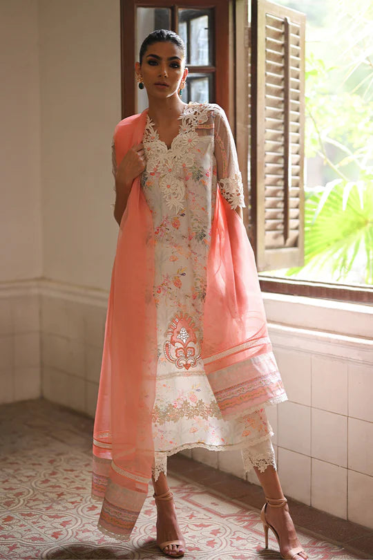 Nadia Farooqui | Ciel