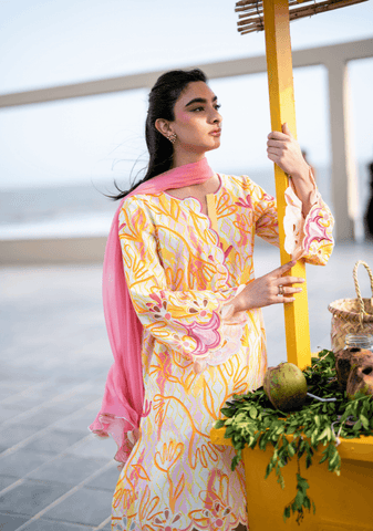 SOLIDS LAWN PRET'26 | HALO