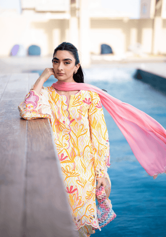 SOLIDS LAWN PRET'26 | HALO