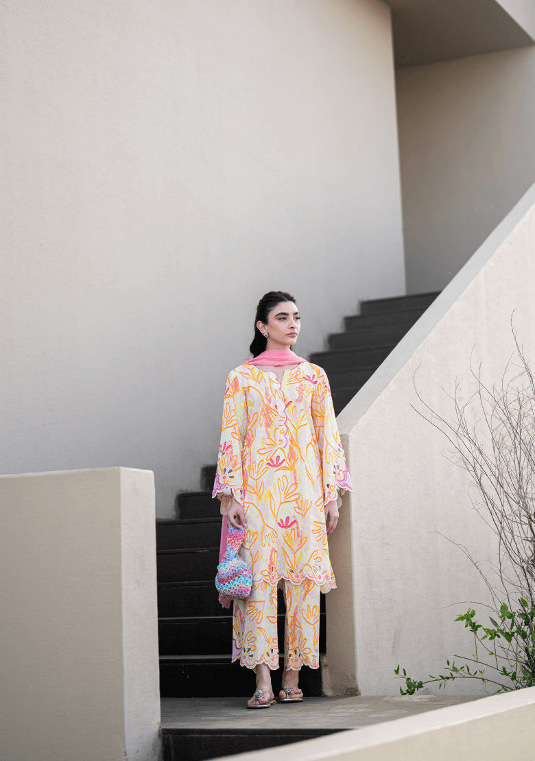 SOLIDS LAWN PRET'26 | HALO