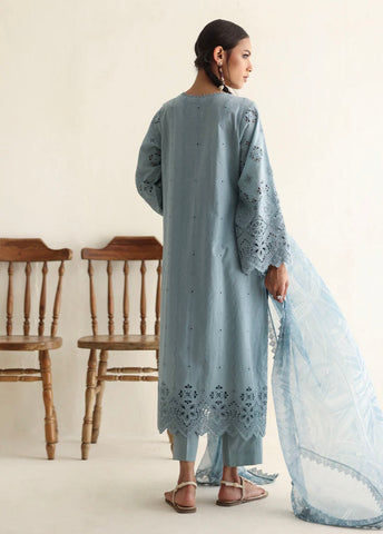 IMAGE READY TO WEAR’24 | ICSE-213520