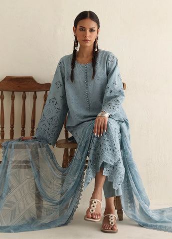 IMAGE READY TO WEAR’24 | ICSE-213520