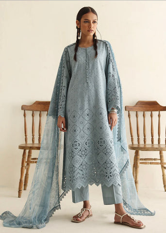 IMAGE READY TO WEAR’24 | ICSE-213520