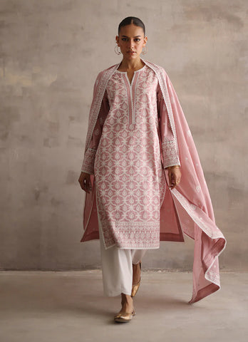 IMAGE READY TO WEAR’24 | ICSE-213423