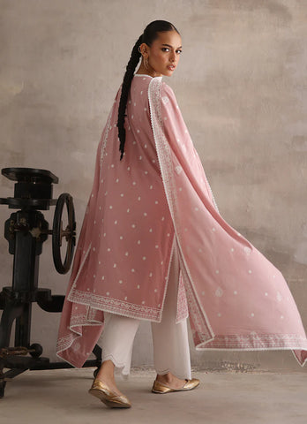 IMAGE READY TO WEAR’24 | ICSE-213423