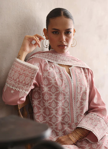 IMAGE READY TO WEAR’24 | ICSE-213423