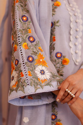 AMBER GOHAR LUXURY PRET’24 | PLAYFUL