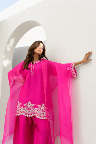 HIRA SARDAR ‘ELAYA FESTIVE EDIT’26 | RANI SET
