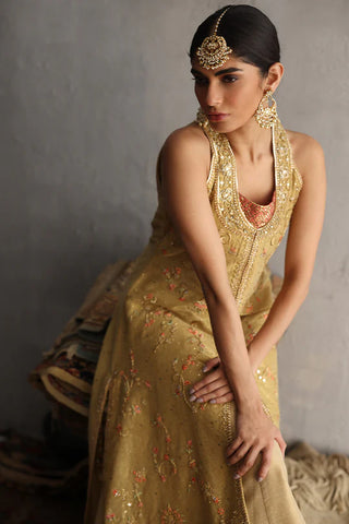 NADIA FAROOQUI ‘ZEENAT’ FORMALS’24 | MAHNUM