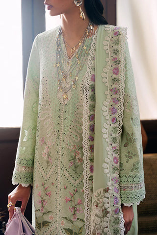 SUFFUSE CASUAL PRET’26 |AREEHA