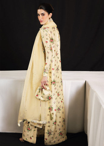 HUSSAIN REHAR LUXURY PRET’26 | VERA