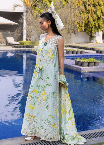 FLOW BY CRIMSON’26 | TROPIC TEASE