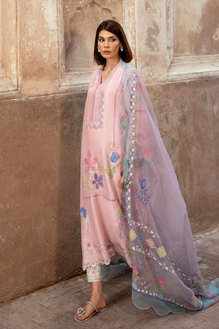 SHAZIA RAUF KHAN ‘GULAABI BAGH 26’ | GITI