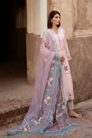SHAZIA RAUF KHAN ‘GULAABI BAGH 26’ | GITI