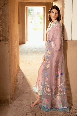 SHAZIA RAUF KHAN ‘GULAABI BAGH 26’ | GITI