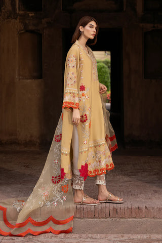 SHAZIA RAUF KHAN ‘GULAABI BAGH 26’ | FREYA