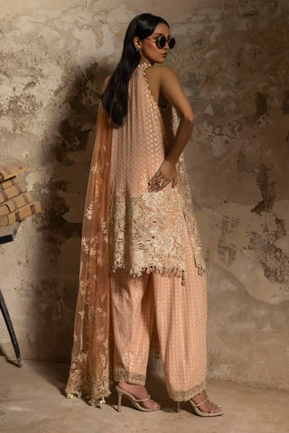 SANA SAFINAZ ‘NURA UNSTITCHED VOL 3’24 | N243-003-C1