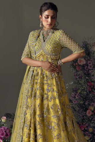 ELAN WEDDING FESTIVE’24 | LIME BLOSSOM (EC24-03)