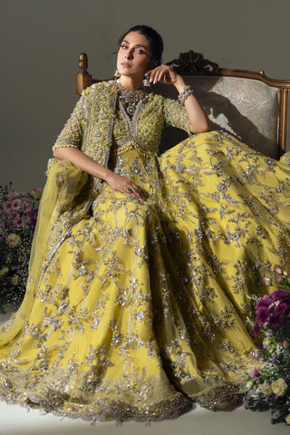 ELAN WEDDING FESTIVE’24 | LIME BLOSSOM (EC24-03)