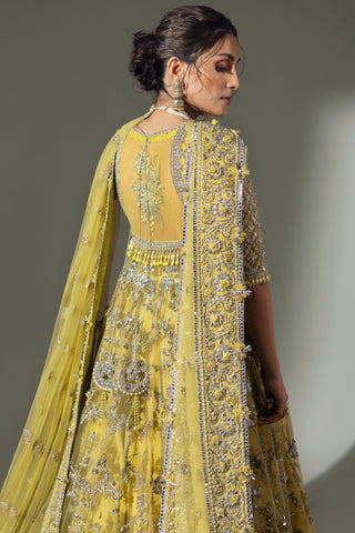 ELAN WEDDING FESTIVE’24 | LIME BLOSSOM (EC24-03)