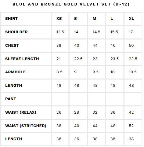 AMMARA KHAN RENDEZVOUS’24 | BLUE AND BRONZE GOLD VELVET SET